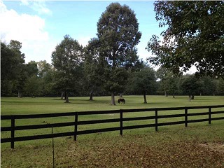 horse property for sale in charleston sc